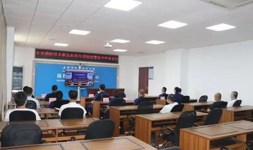 消防技術(shù)服務(wù)機(jī)構(gòu)因違規(guī)執(zhí)業(yè)被依法處罰