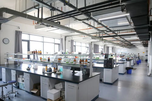 小天使集團(tuán) 以創(chuàng)新科技引領(lǐng)健康與美的未來