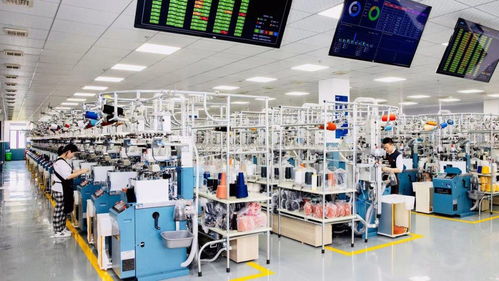 數(shù)字技術賦能智慧時尚 浙江諸暨以科技驅動產(chǎn)業(yè)高質量發(fā)展，助力構建雙循環(huán)新格局